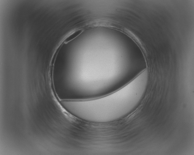 X0000074311434200608250953