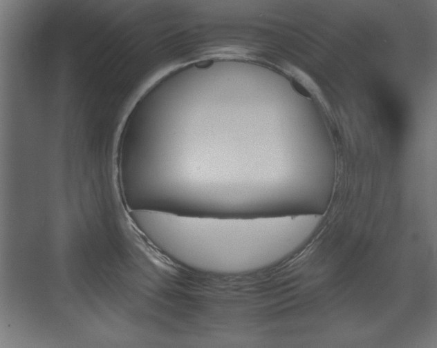 X0000074311435200608250953