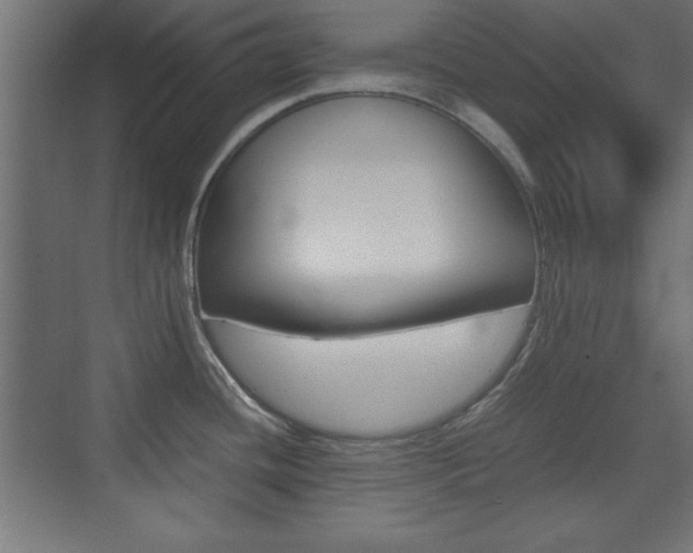 X0000074311436200608250953