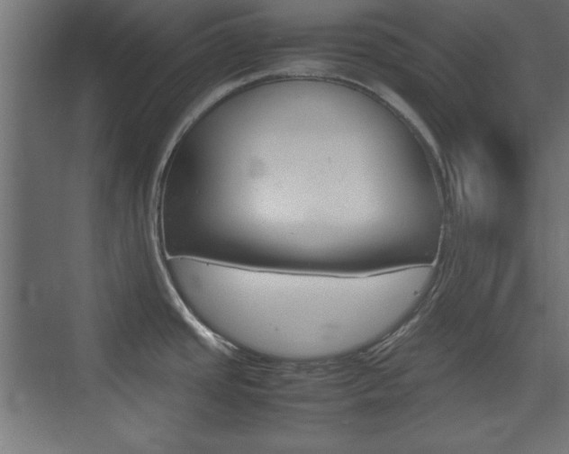 X0000074311437200608250953