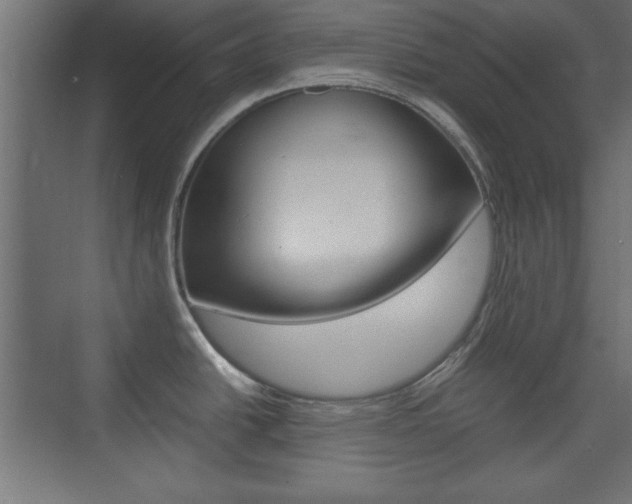 X0000074311438200608250953
