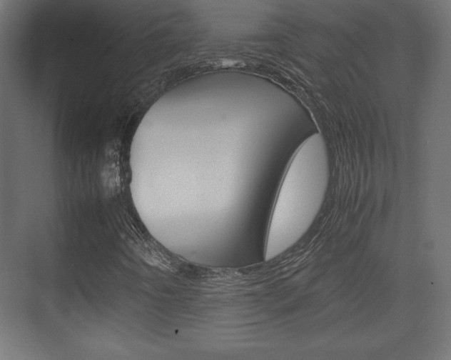 X0000074311442200608250952