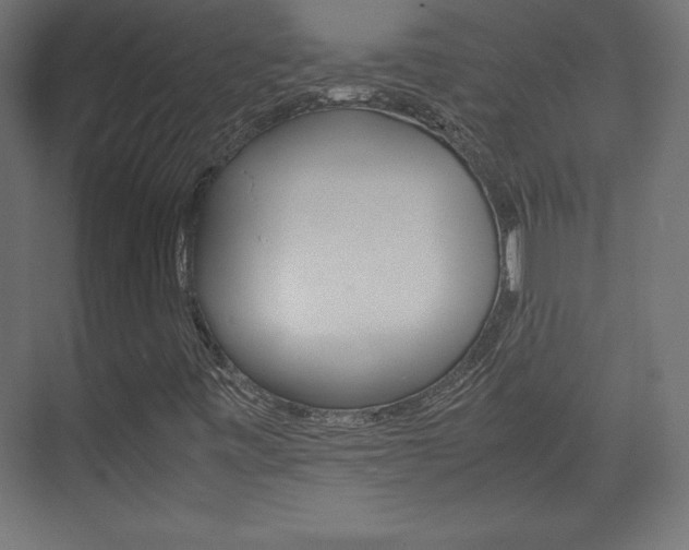 X0000074311443200608250952