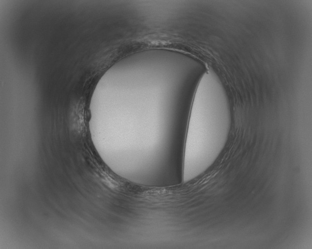 X0000074311444200608250952