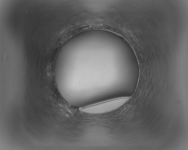 X0000074311445200608250952