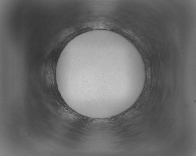 X0000074311446200608250952