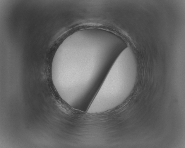 X0000074311448200608250952