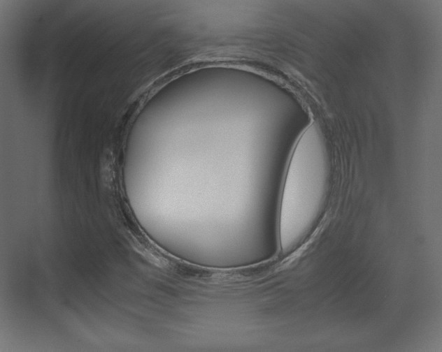 X0000074311449200608250952