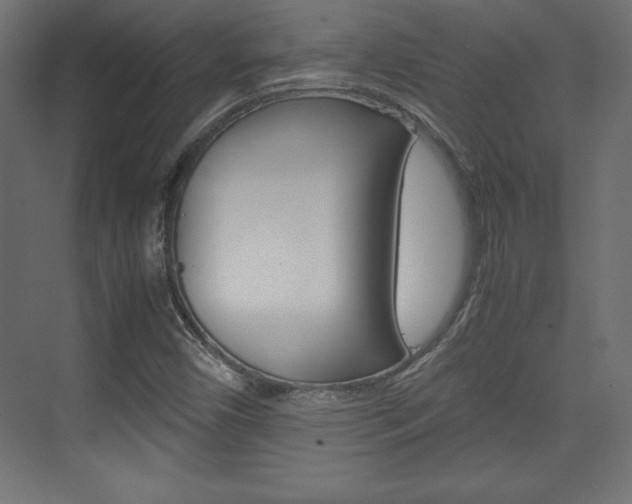 X0000074311450200608250952