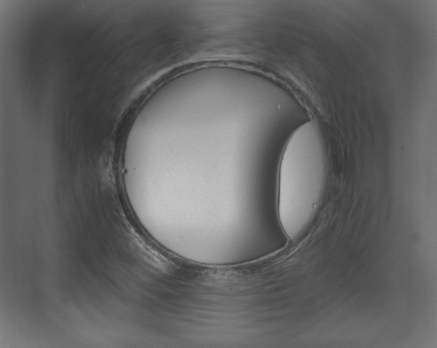 X0000074311452200608250952