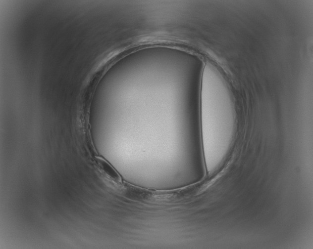 X0000074311453200608250952