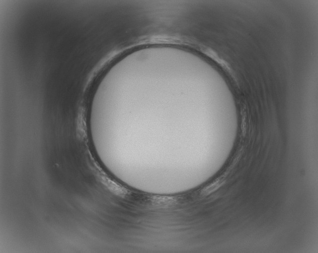 X0000074311454200608250952