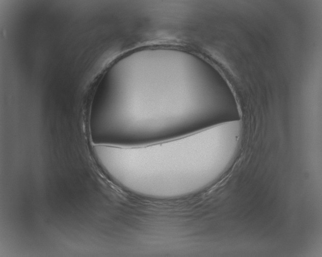 X0000074311455200608250952