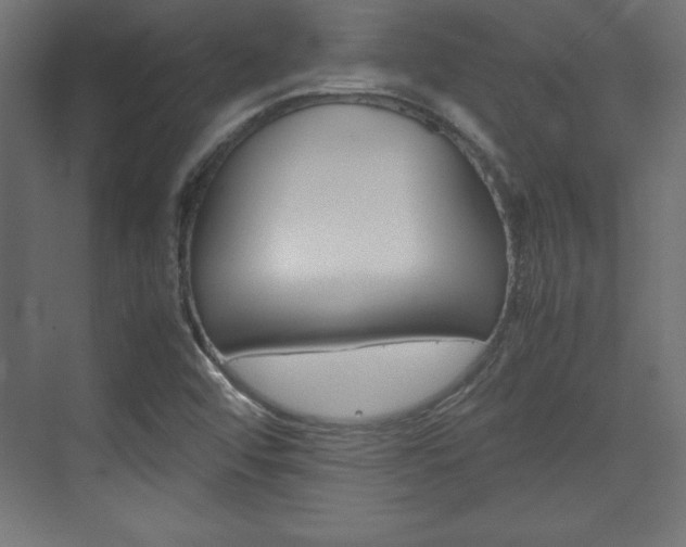 X0000074311456200608250952