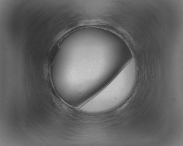 X0000074311457200608250952