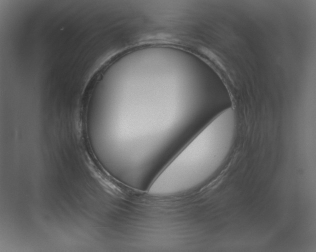 X0000074311458200608250952