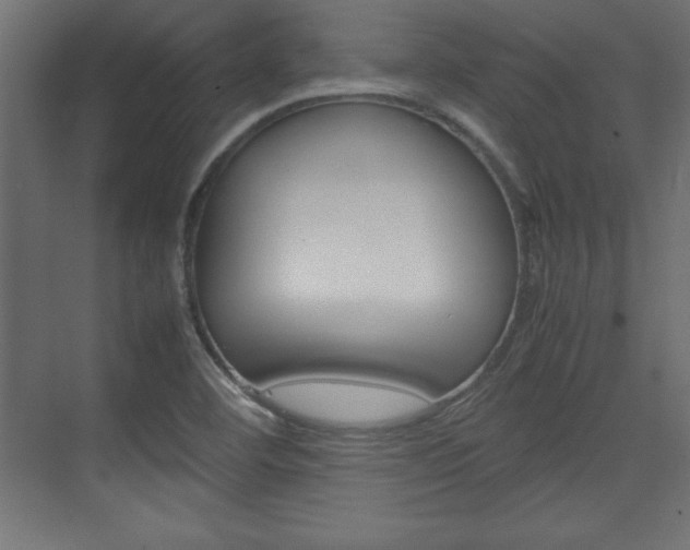 X0000074311460200608250952