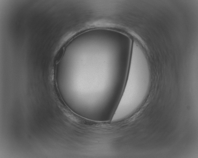 X0000074311461200608250952