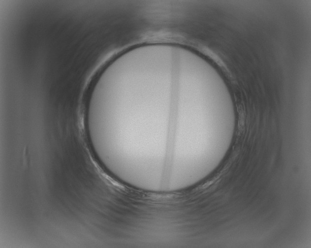 X0000074311462200608250952