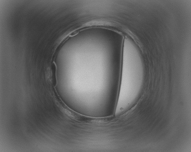 X0000074311465200608250952
