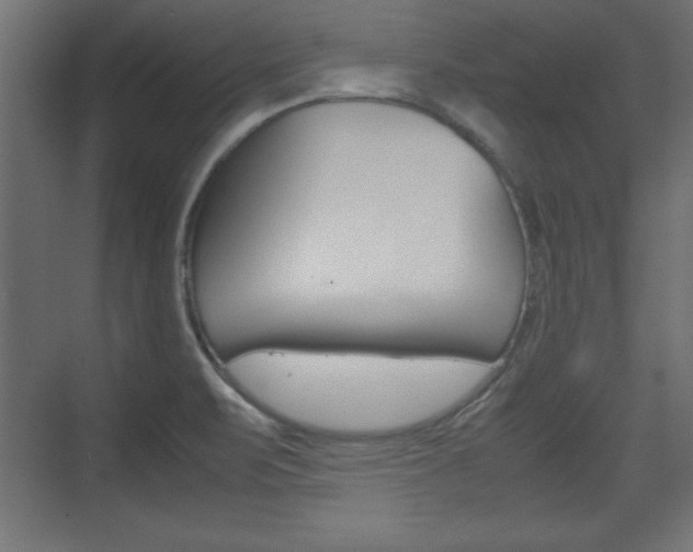 X0000074311471200608250952