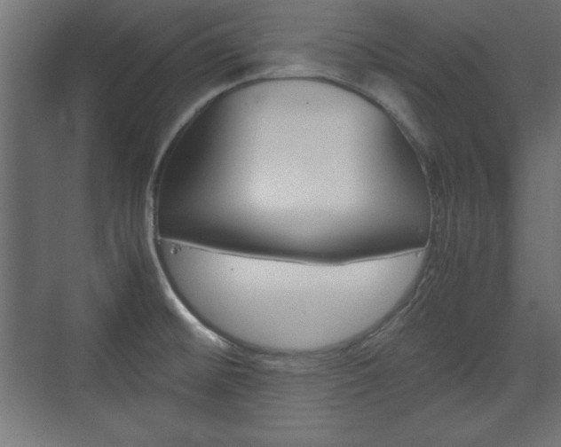 X0000074311476200608250952