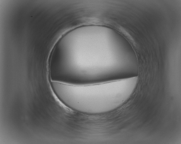 X0000074311479200608250952