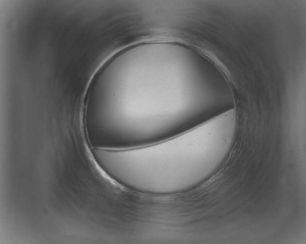 X0000074311484200608250952