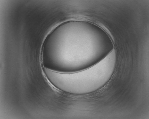 X0000074311485200608250952
