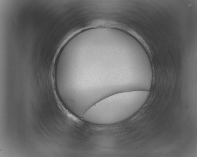 X0000074311486200608250952