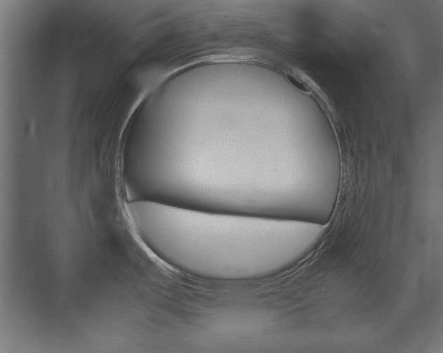 X0000074311487200608250952