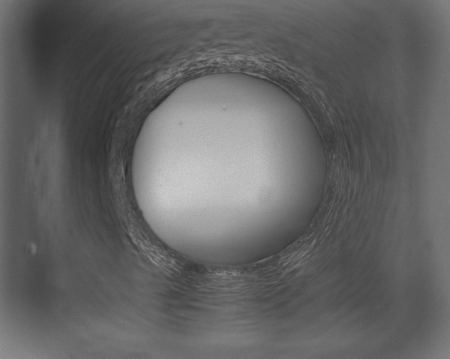 X0000074311489200608250951