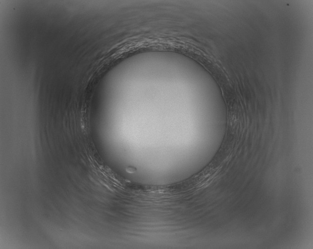 X0000074311490200608250951
