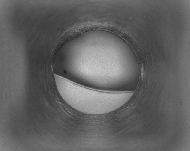 X0000074311492200608250951