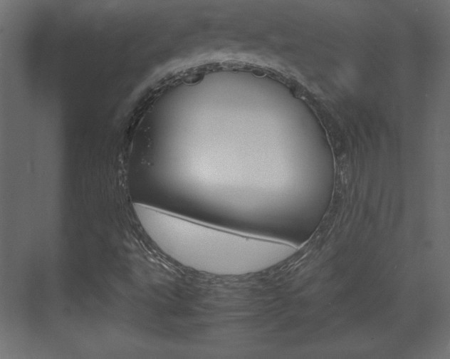 X0000074311495200608250951