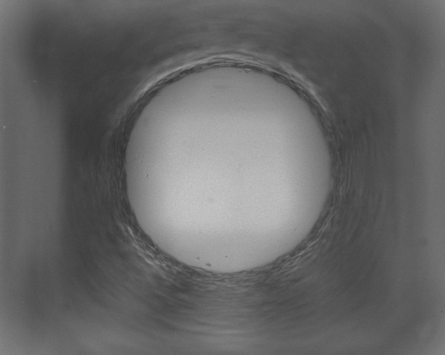X0000074311496200608250951