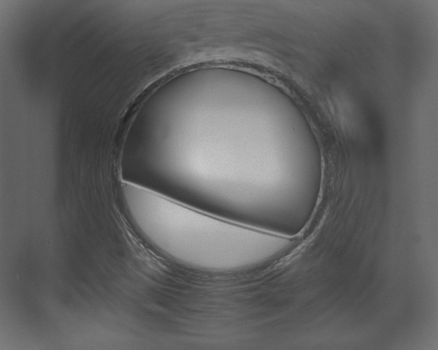 X0000074311497200608250951