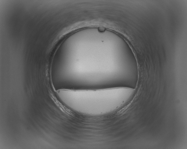 X0000074311499200608250951