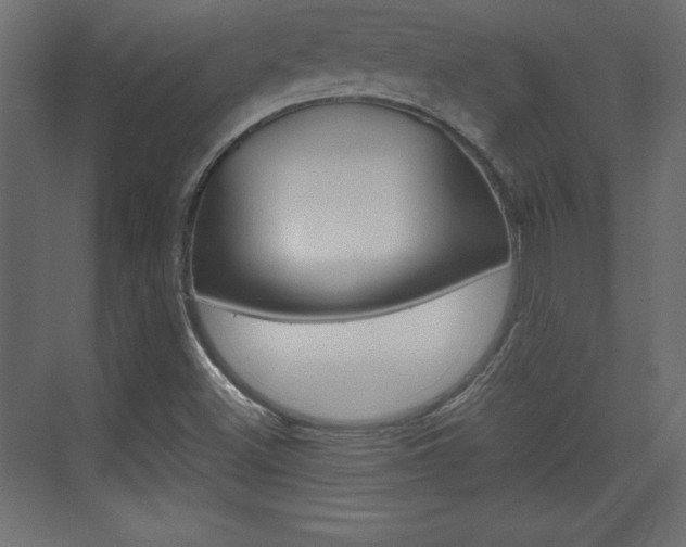 X0000074311500200608250951