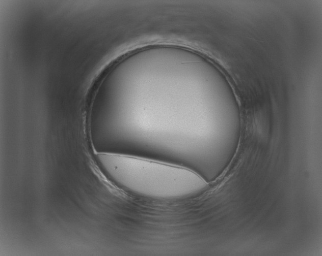 X0000074311503200608250951