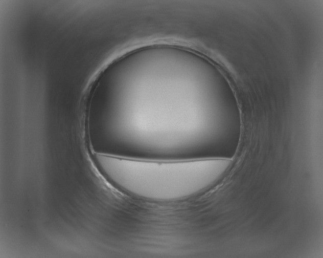 X0000074311504200608250951