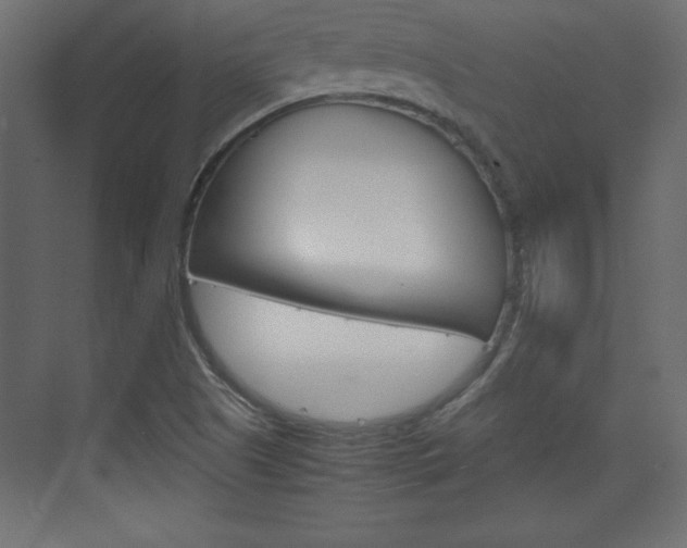 X0000074311505200608250951