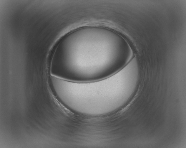 X0000074311506200608250951