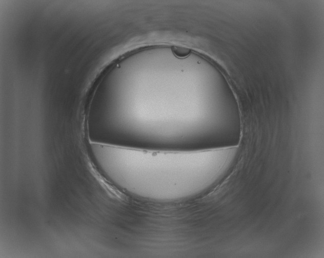 X0000074311507200608250951