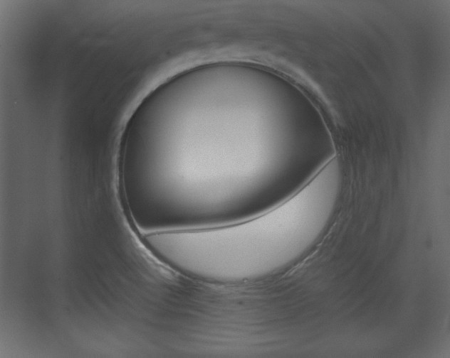X0000074311512200608250951