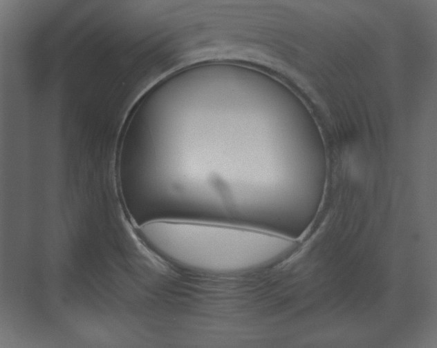 X0000074311513200608250951