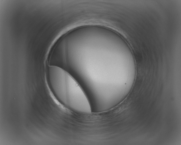 X0000074311515200608250951