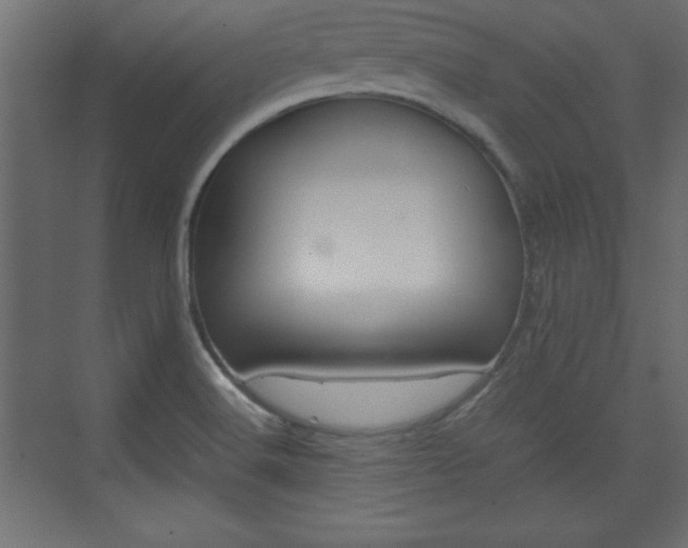 X0000074311516200608250951