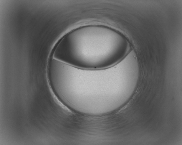 X0000074311518200608250951