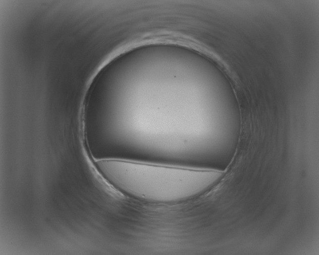 X0000074311522200608250951